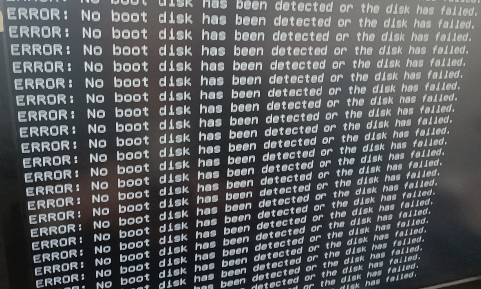 no boot disk has been detected or the disk has failed